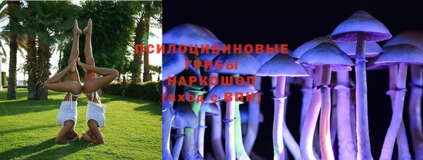 гашиш Белокуриха