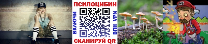 Псилоцибиновые грибы Psilocybe  Купить закладки  Курганинск 